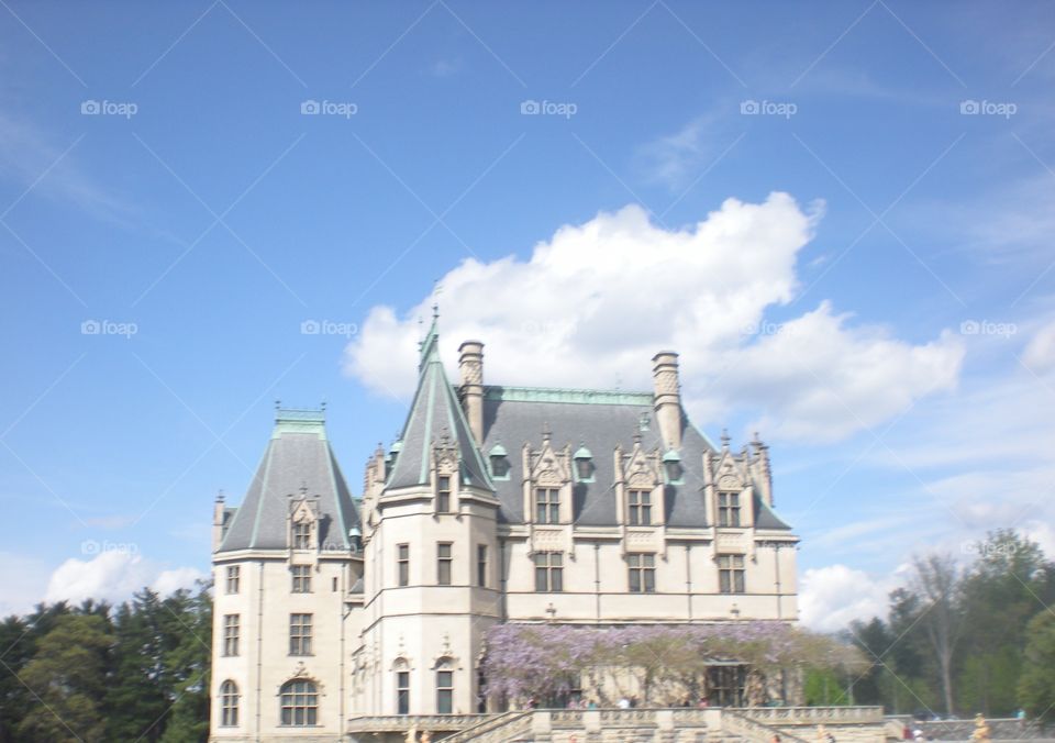 Biltmore Estate . side view of house