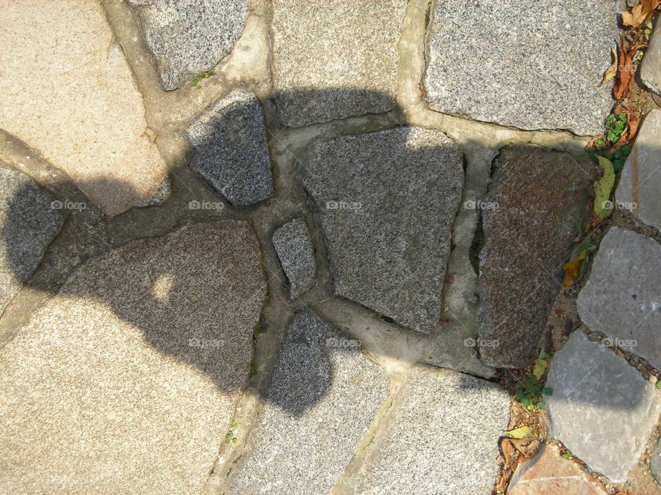 Shadow in Prague