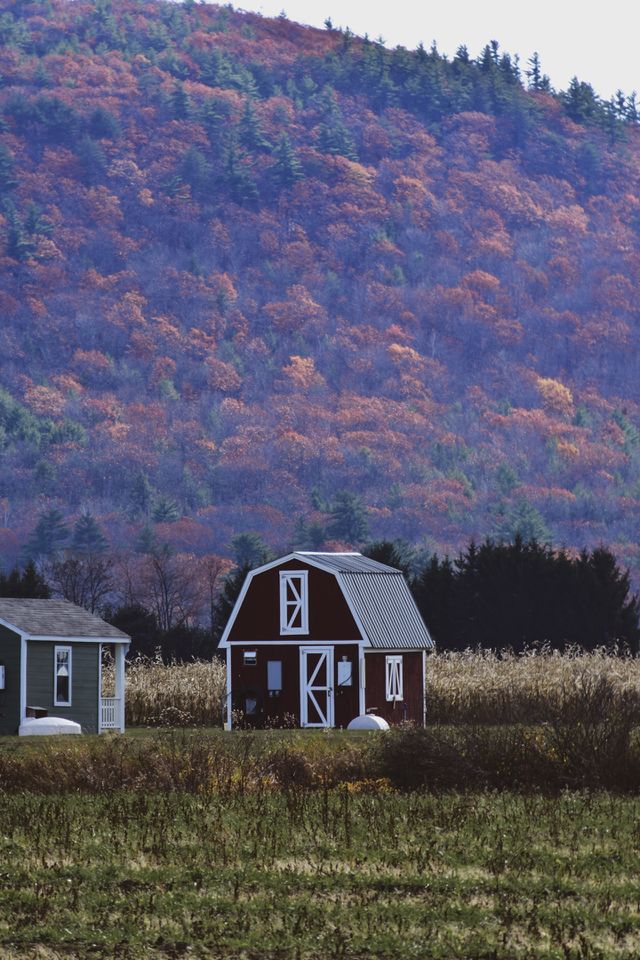 Since we moved to New England, I can’t believe how peaceful our lives have been. Grateful. Blessed.