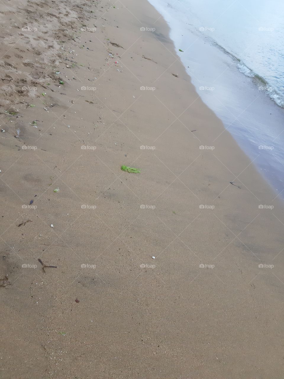 Tiny wave on the beach