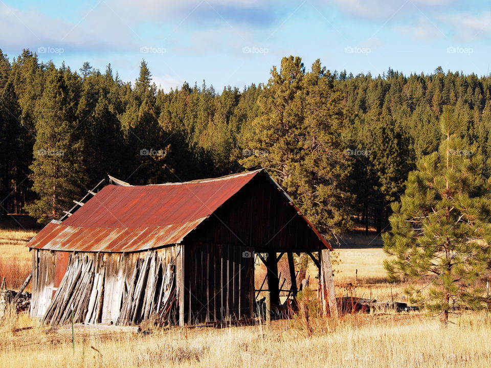 An old rusted and rotting barn barely standing in a rural pasture in Central Oregon on a sunny winter afternoon. 
