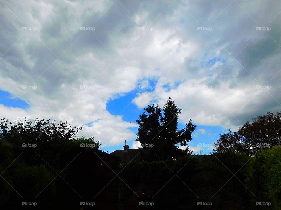 Where is Mr Blue Sky?