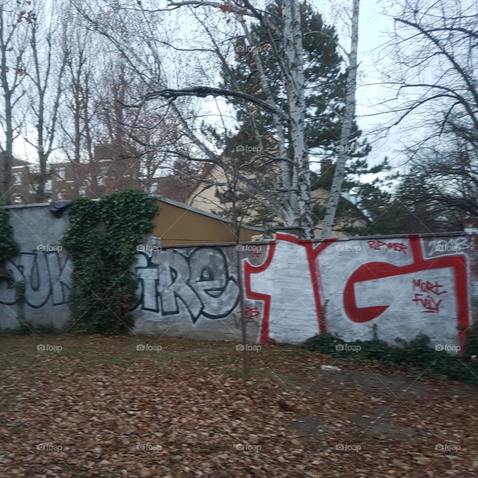 Graffiti