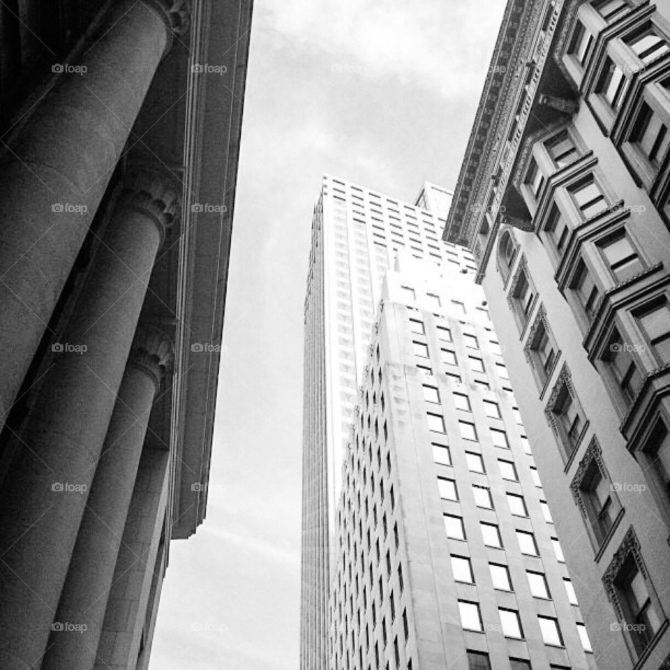 Buildings . Skyscraper 