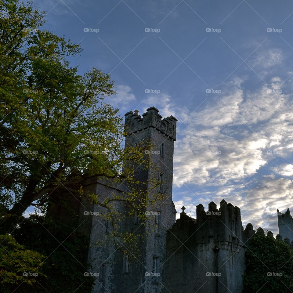 Malahide castle