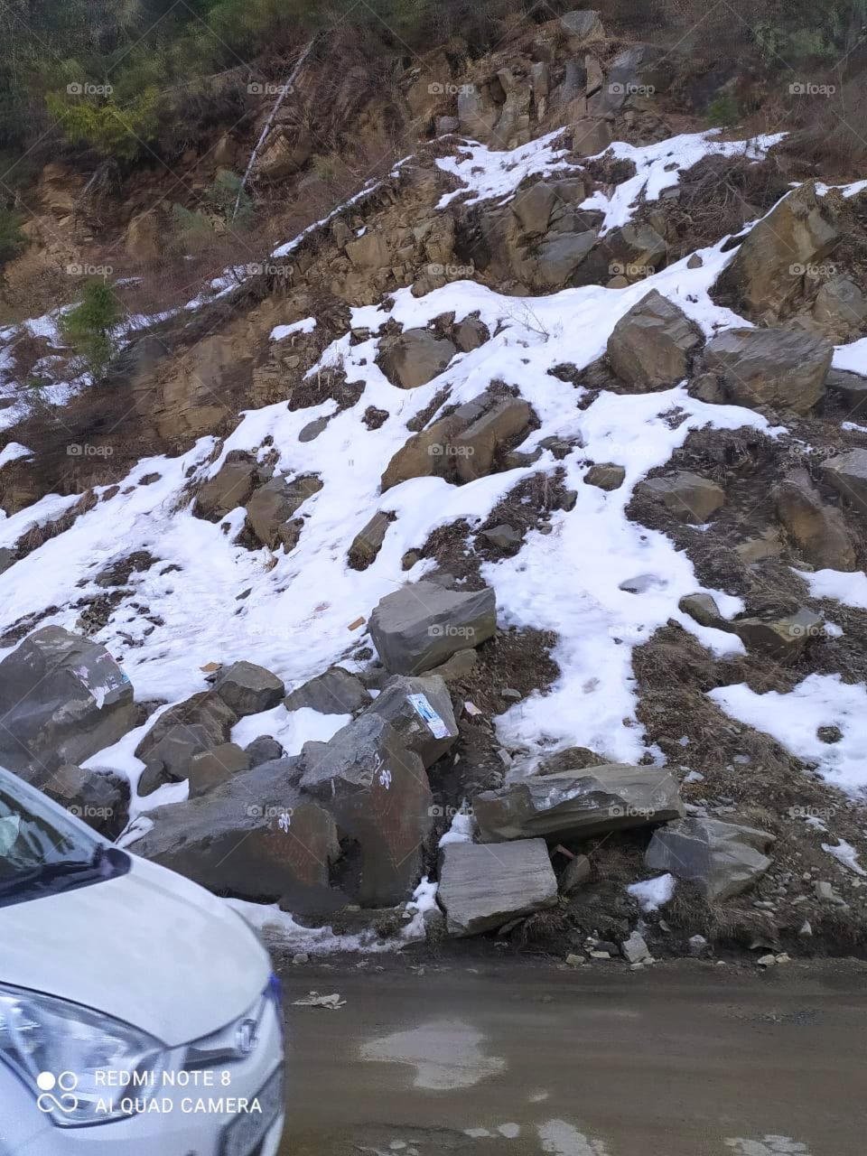 Way to Narkanda, shimla: Beautiful road to the city of shimla.