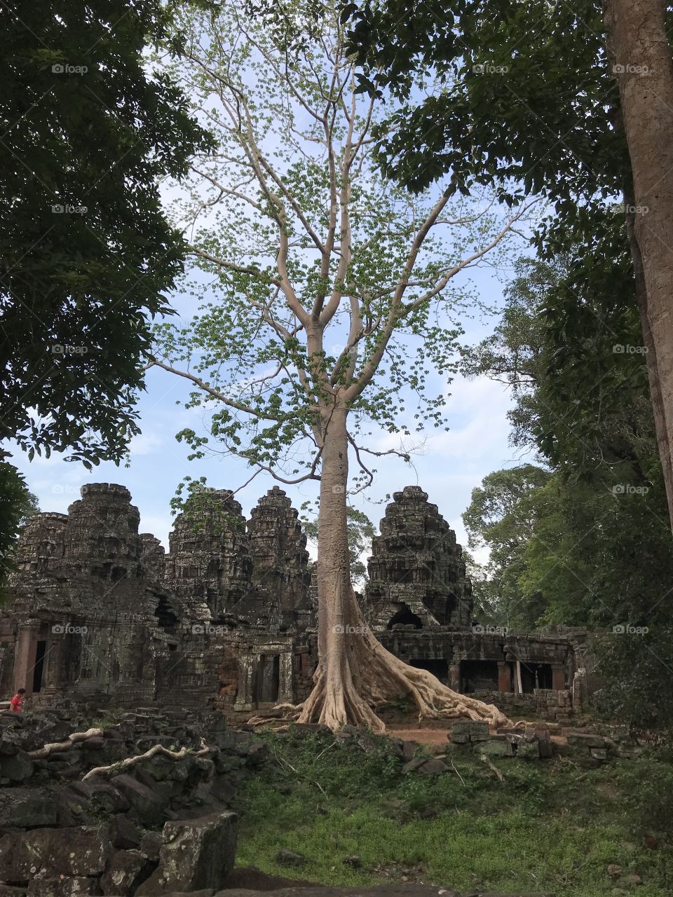 Ankor Wat outskirt