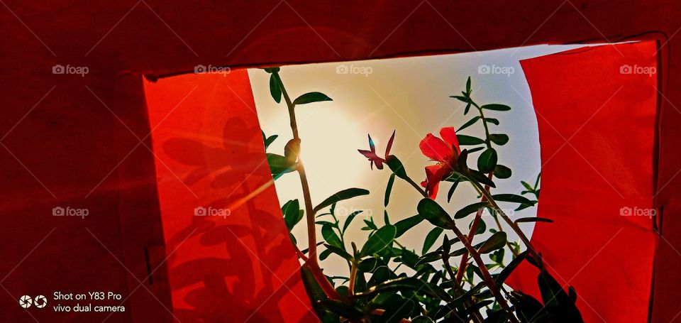 #foap #infoapartemen #foapjuly18 #foapaug18 #foapfeb18 #foapapril17 #foapers #foapjune18 #fotografoaprendiz #sfoapprentices #foaper #infoapartment #foapmission #foapmay18 #foapapr18 #foapit #infoaplikasipaytren #infoapple #foapom #foapjan19 #infoapp