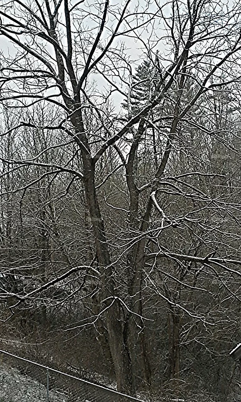 snow