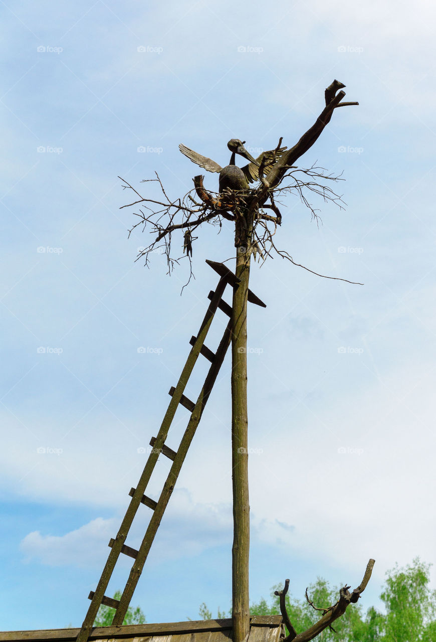 Storks nest