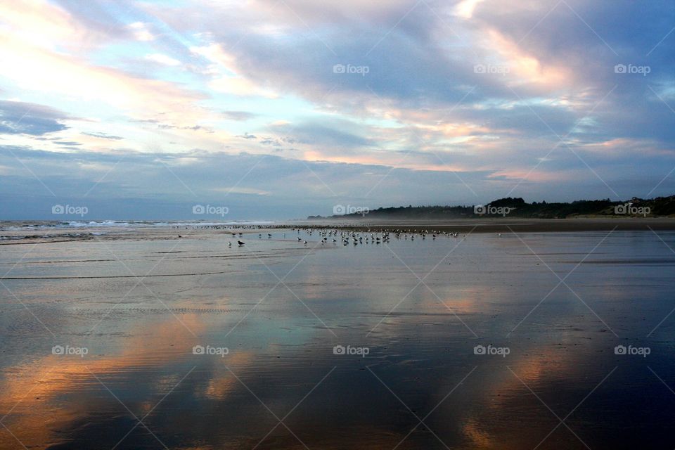 sand and sky