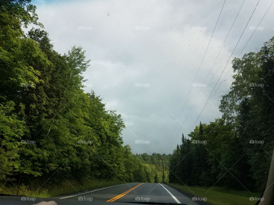 Road, Tree, Asphalt, Landscape, Transportation System