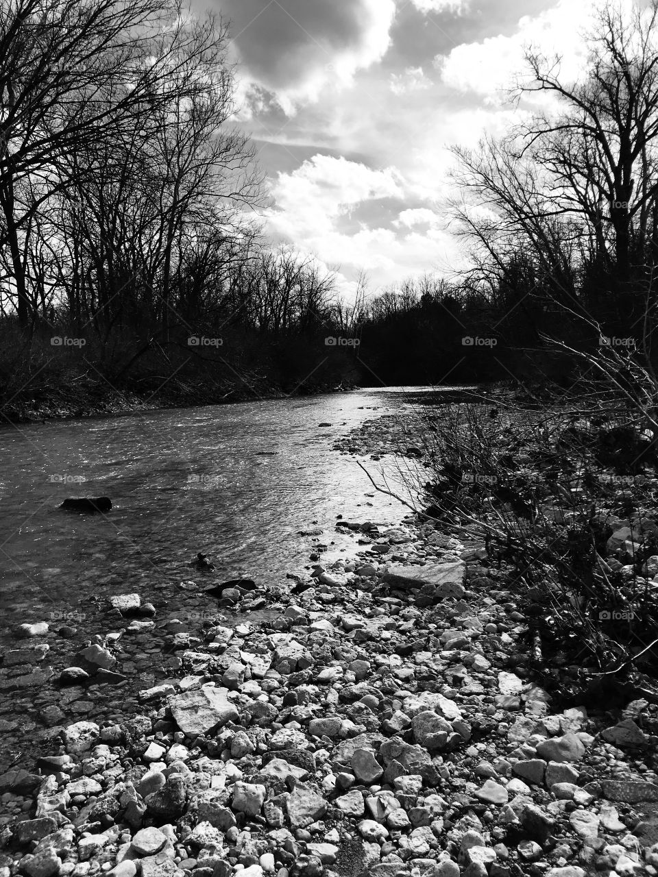 At the creek 
