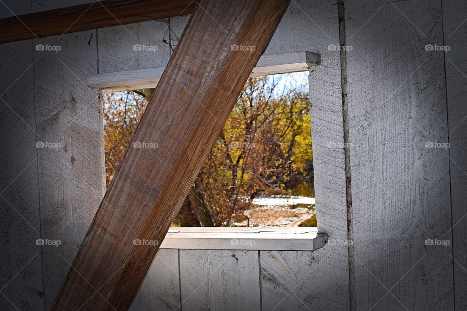 Bridge window