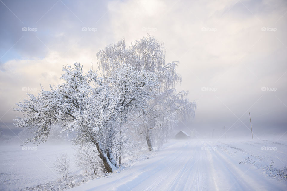 Beautiful snowy winter day background