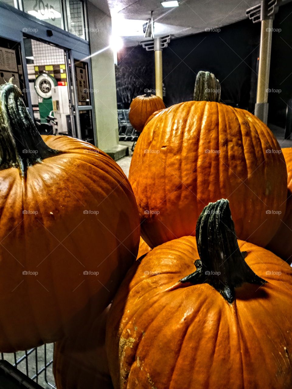 pumpkin display at supermarket