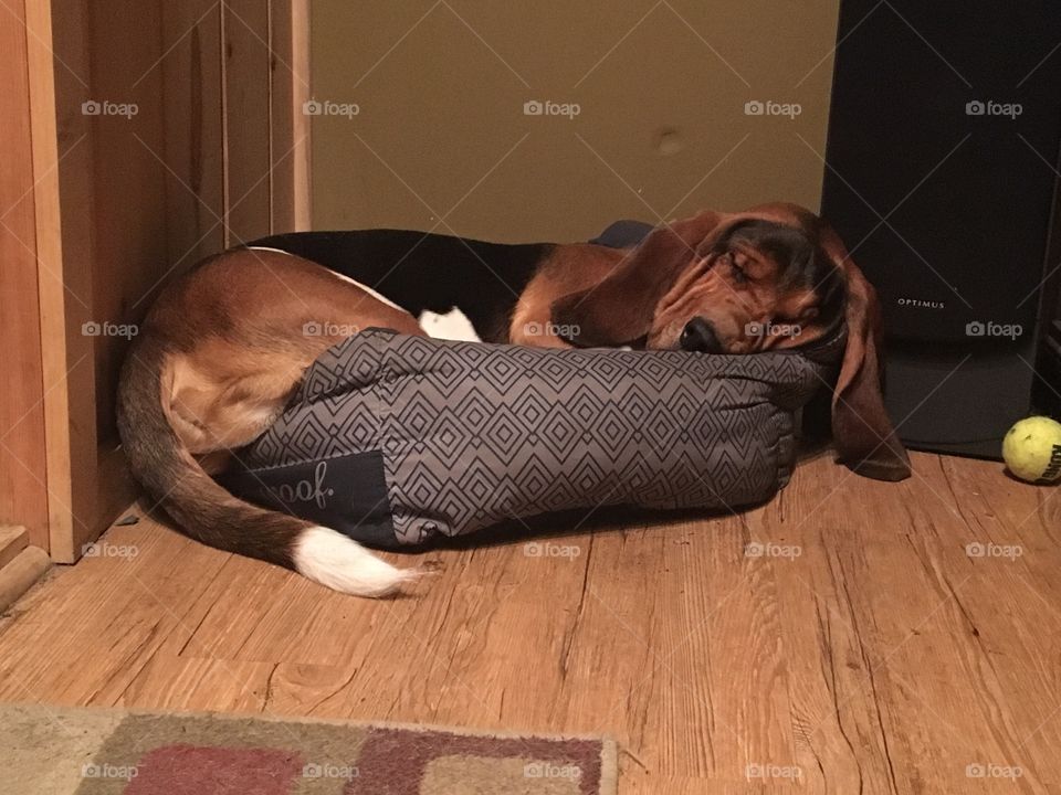 Bed is too small 