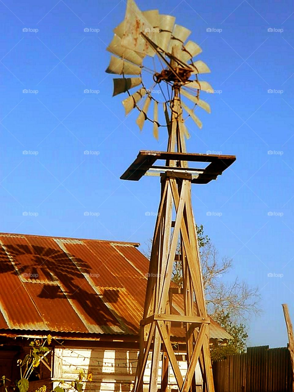 View of old windmill