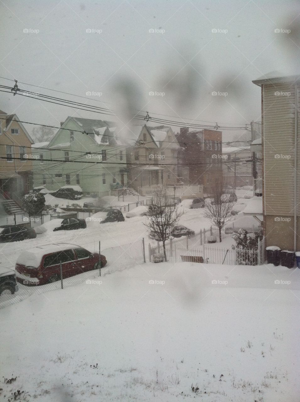 Snow day in the neighborhood 
