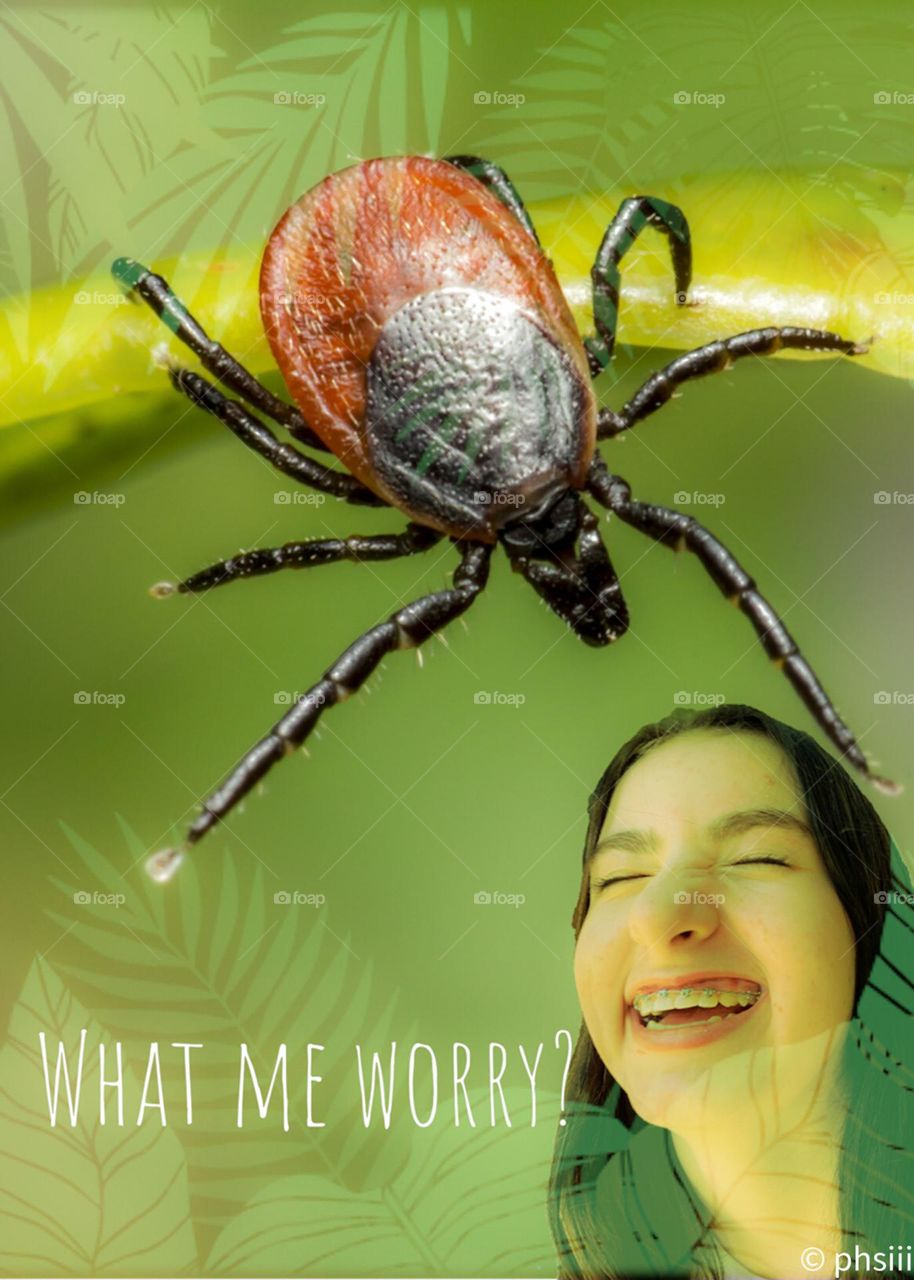 What me worry? A giant spider is going to jump on my head? Don’t be silly! More fun with Photoshop Express! 🕷