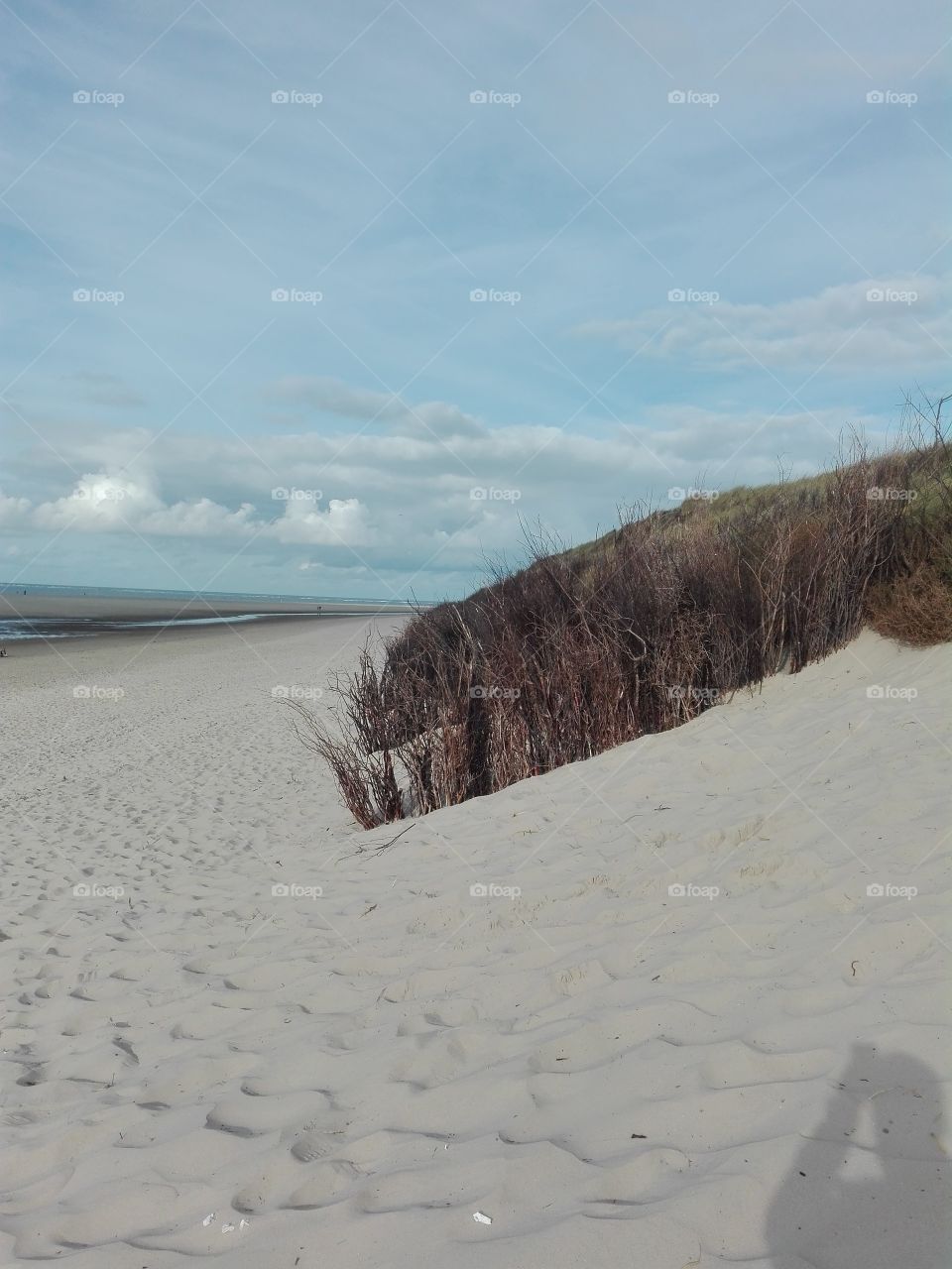 Langeoog