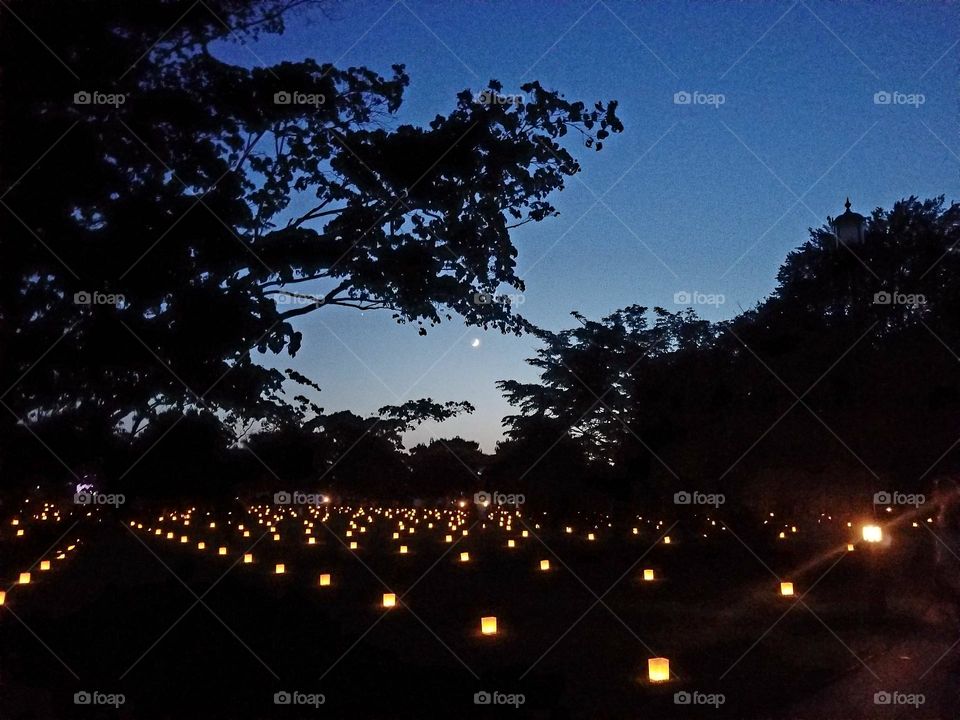 Luminaries at Longwood Gardens