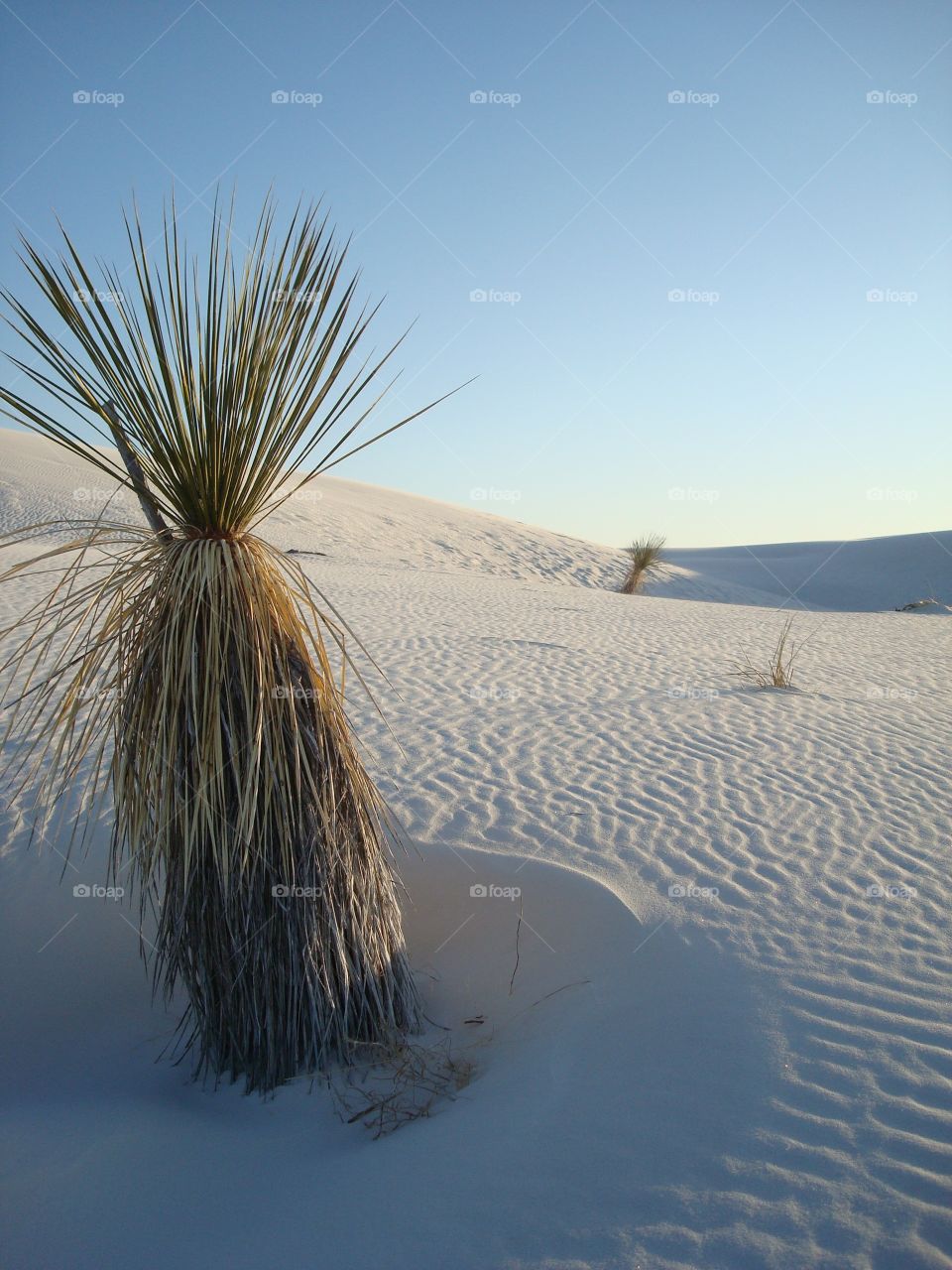 Sunset over White Sands, NM