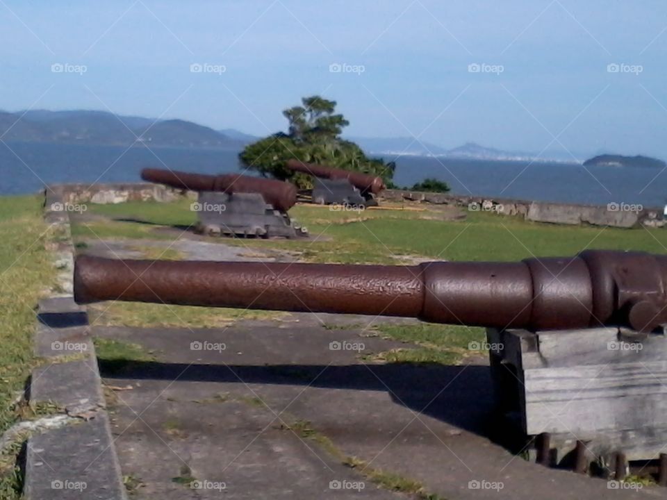 cannon