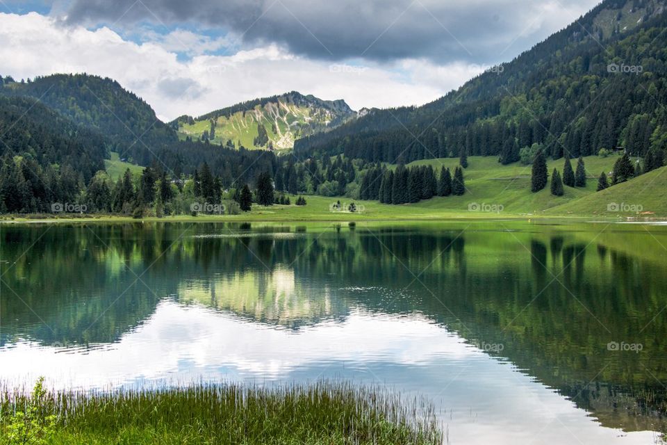 Reflection of trees and mountain in lake