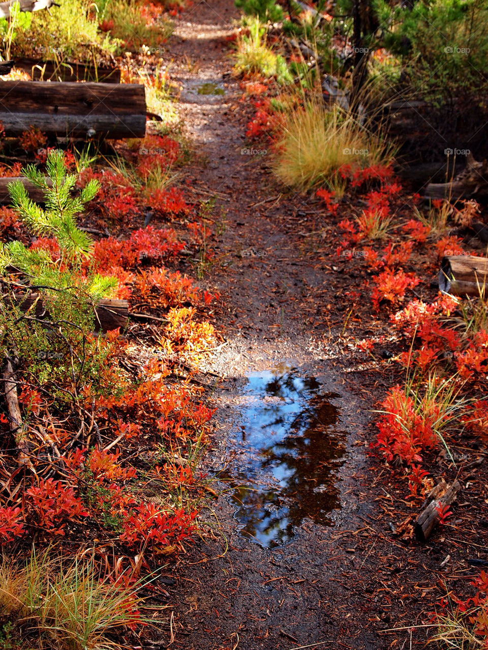 landscape nature red color by hddatmyers