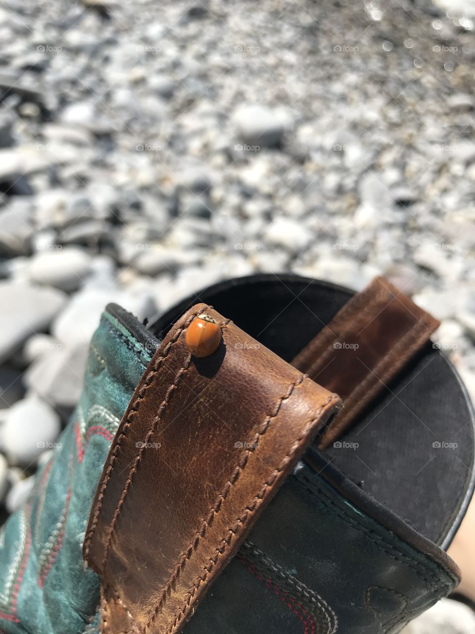 One young lady bug relaxing on my boot