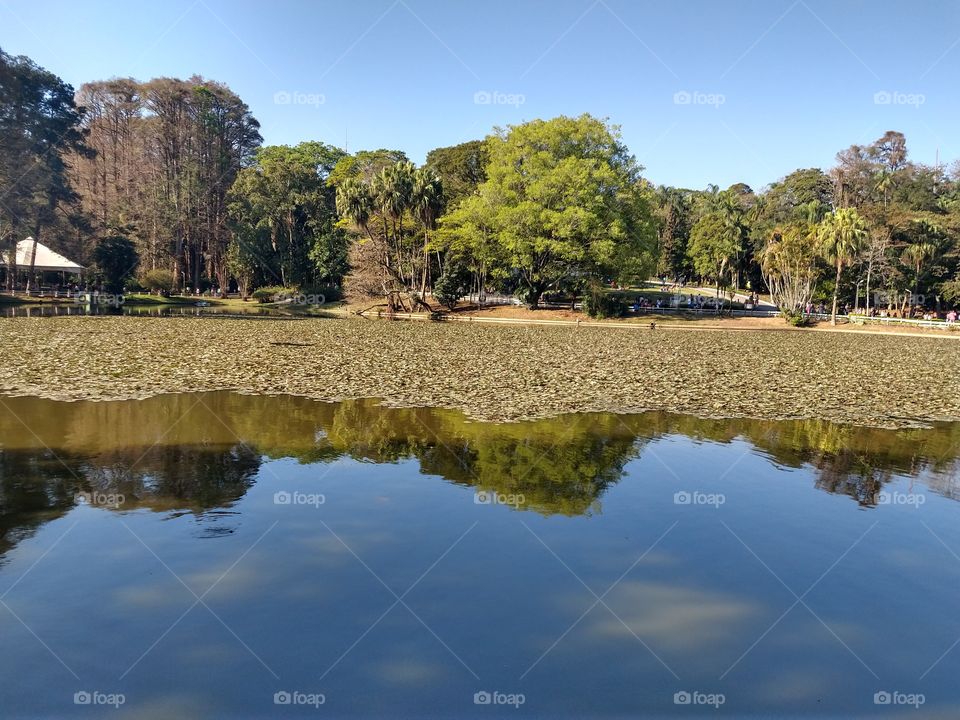 reflexo mais lindo,pura natureza