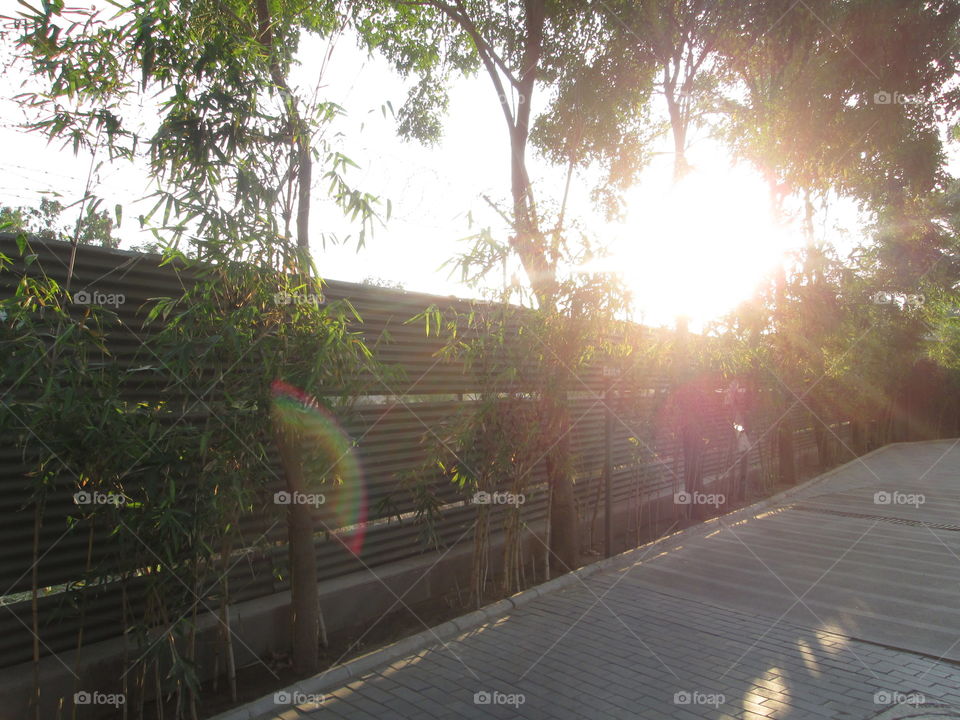 Yesterday evening!!!!!!!!!!!!