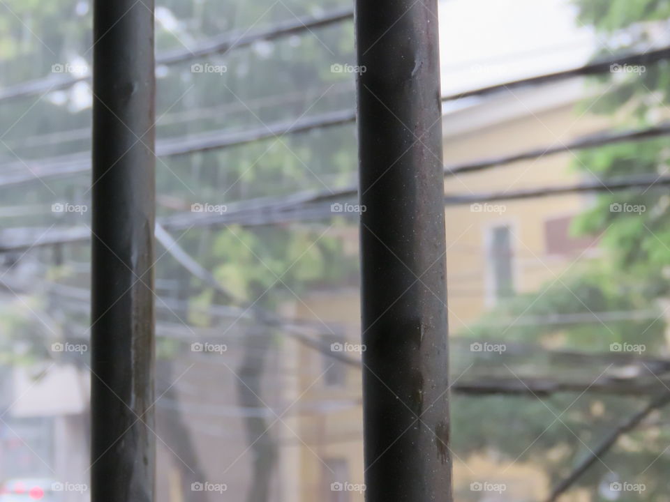 The window and the rain