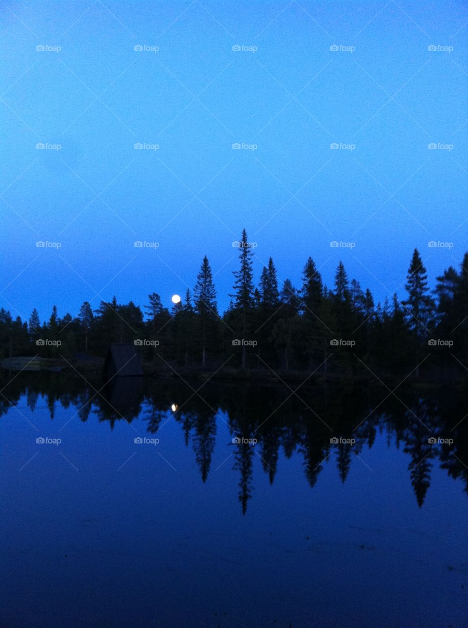 Blåtimen (the blue hour). Knutefjellet, Kongsberg Norway 