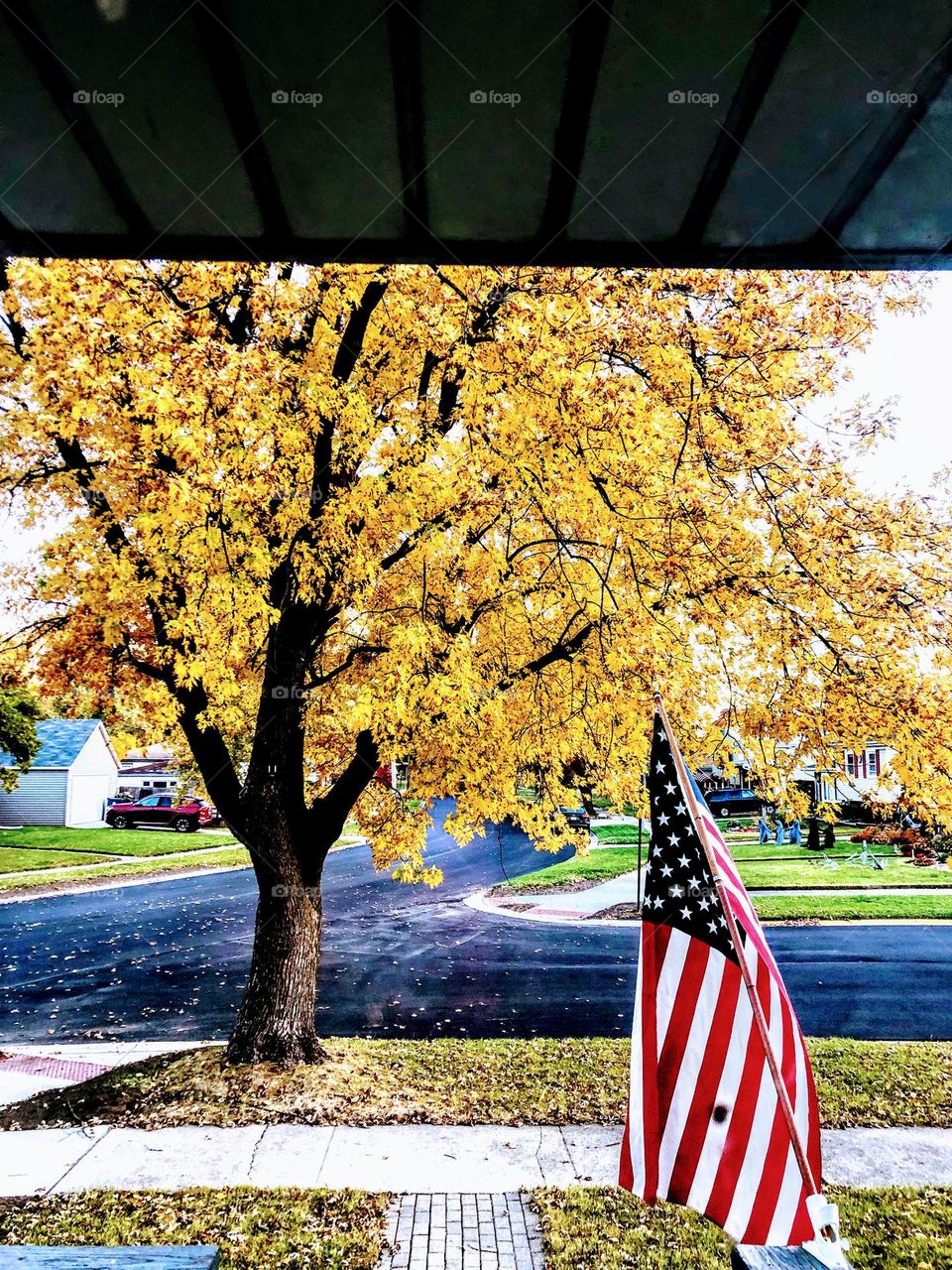 Beautiful fall morning 