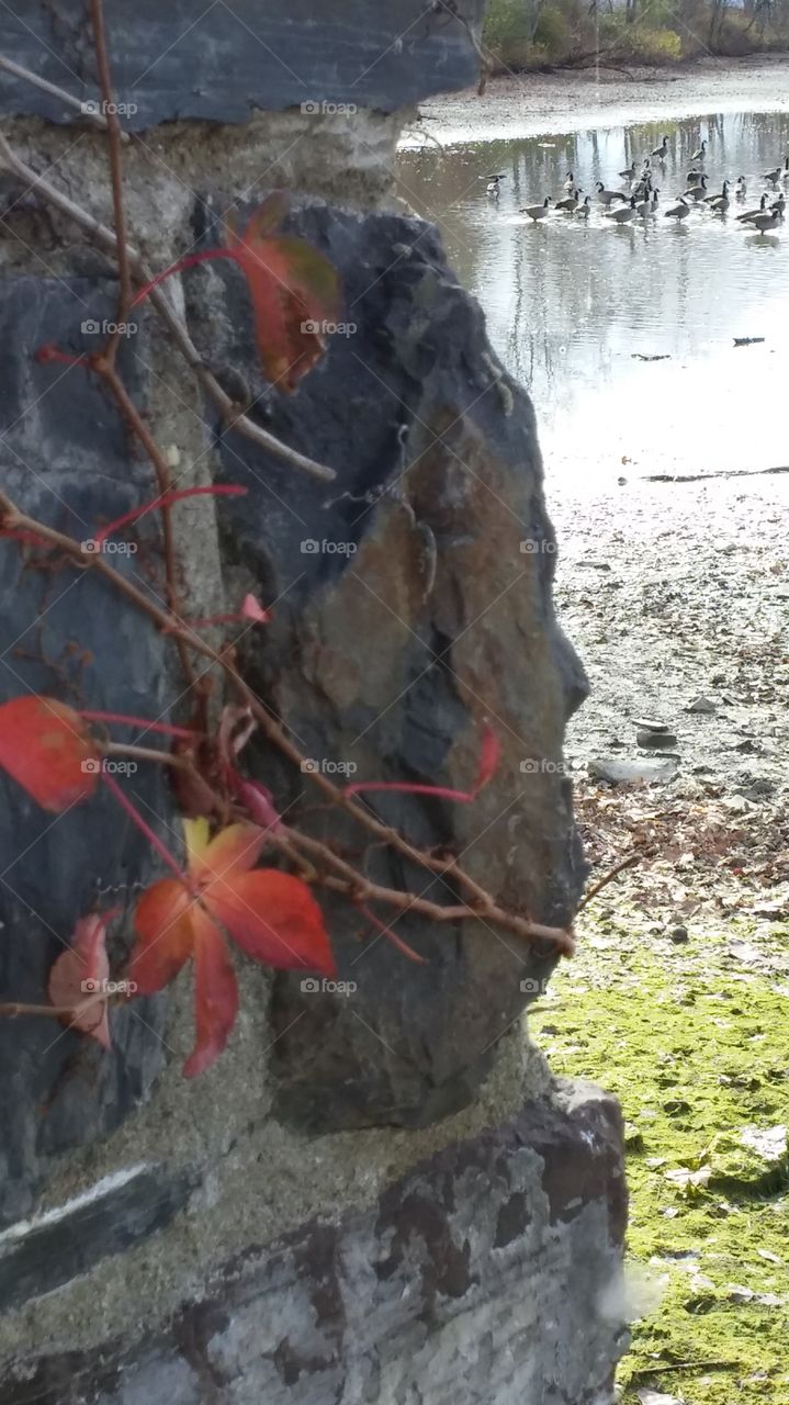 change. day at the lake, doylestown
, pa