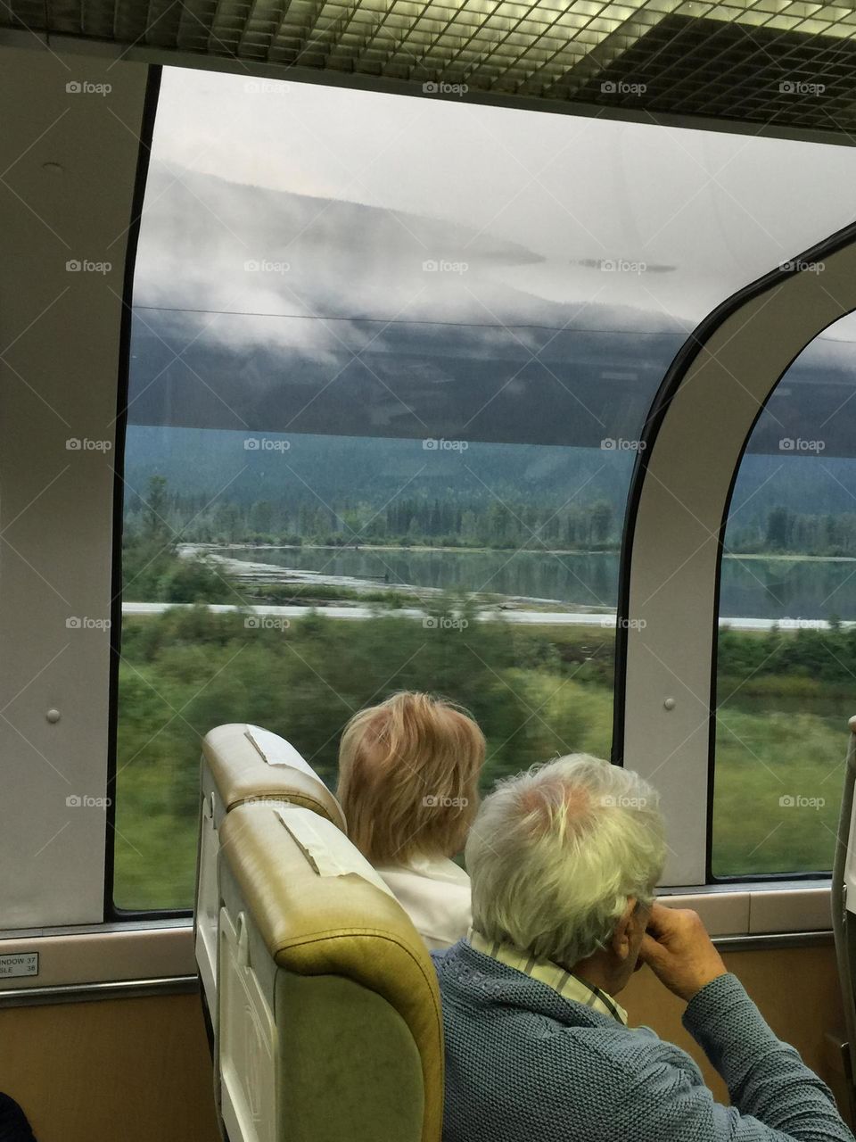 Enjoy the scenery while taking the train 