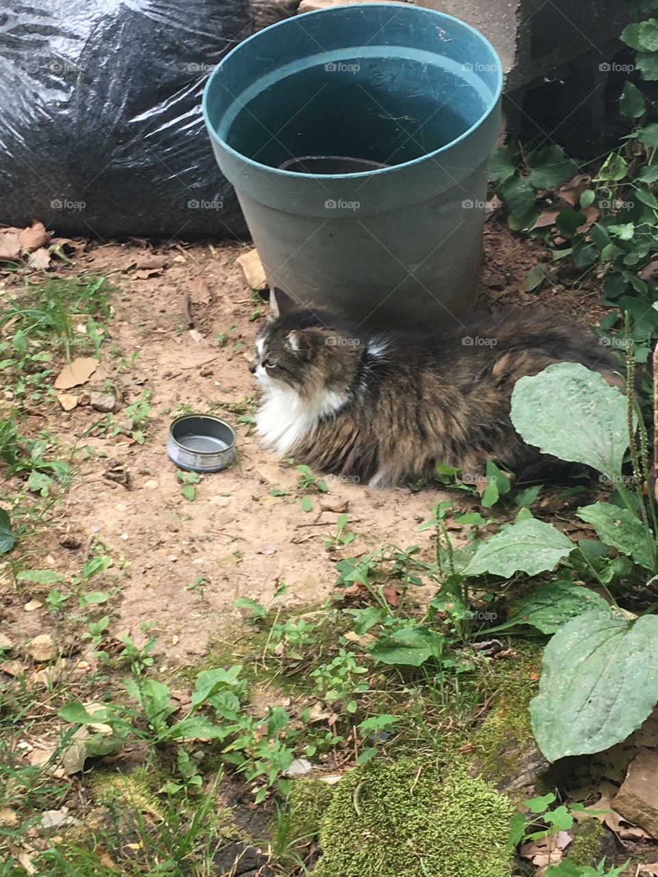 Just waiting here to be potted do you think they’ll get the hint? I can be a flower 