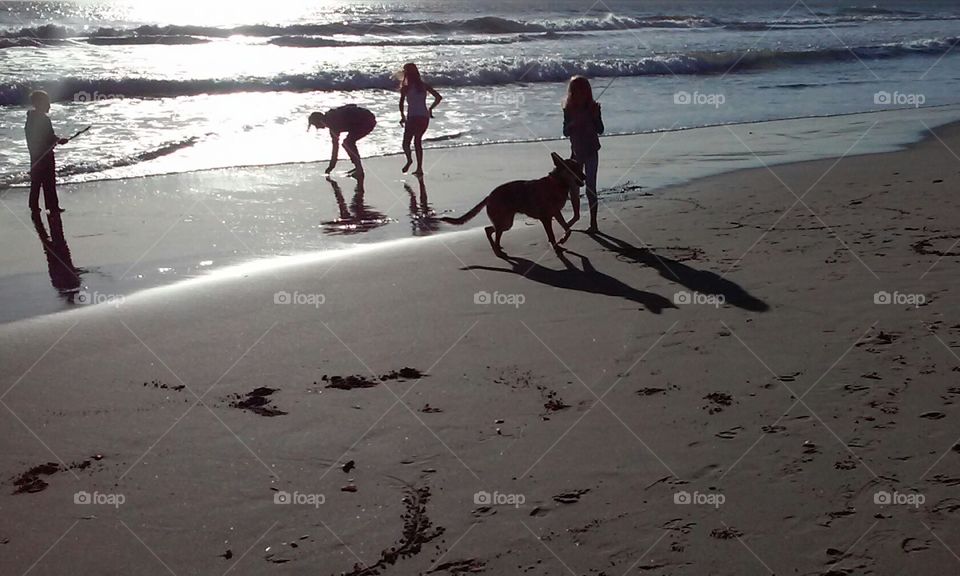 spring beach play. California beach play