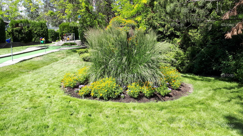 Spiky Grass Center Piece