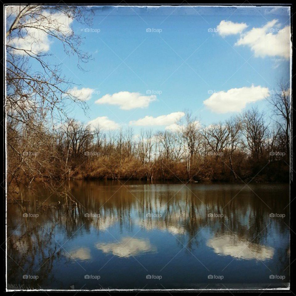 reflective pond