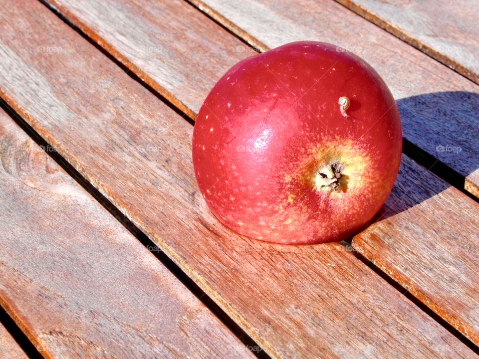 small snail on apple