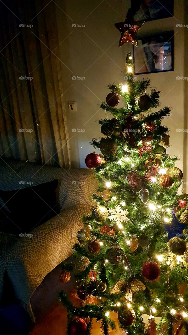 Happy Christmas to everyone and a happy new year!