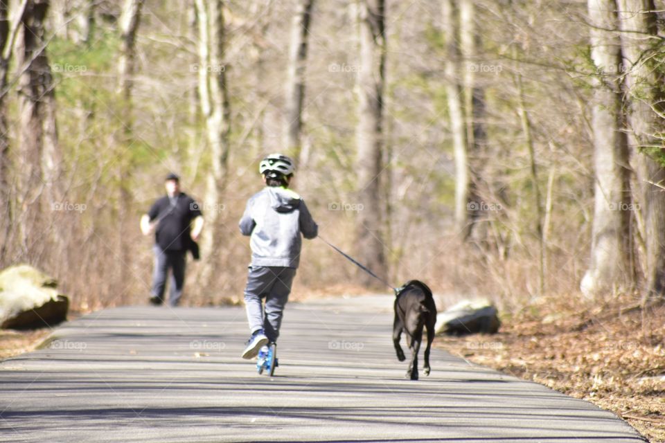 Spring time with your dog 