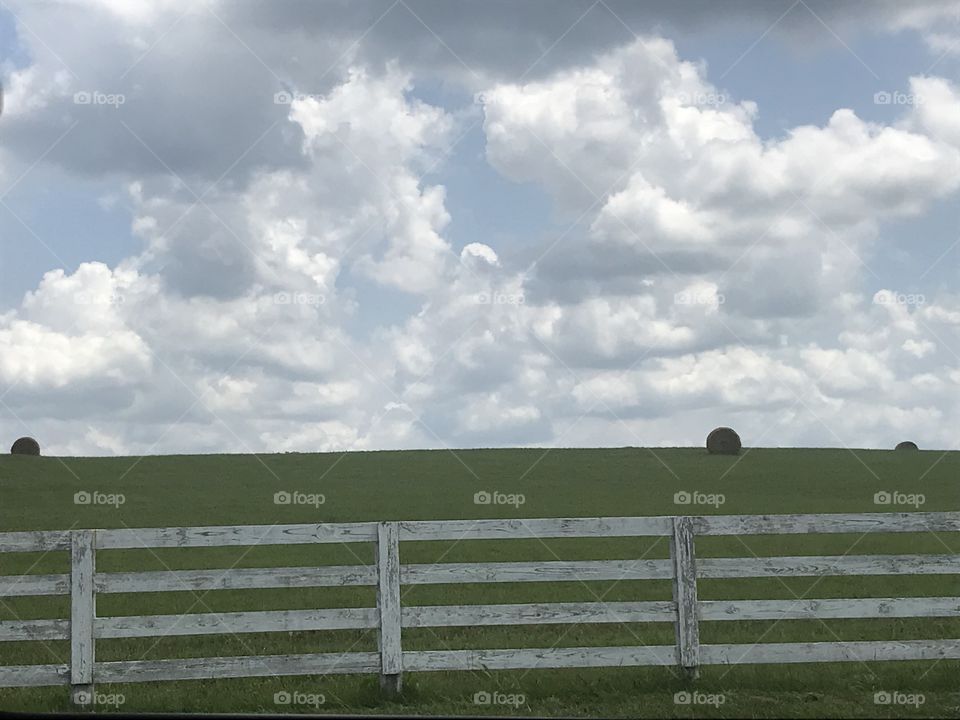 Summer fields