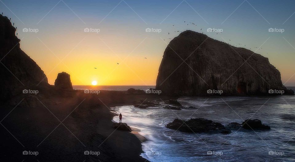 woman watching the sunset on the coast