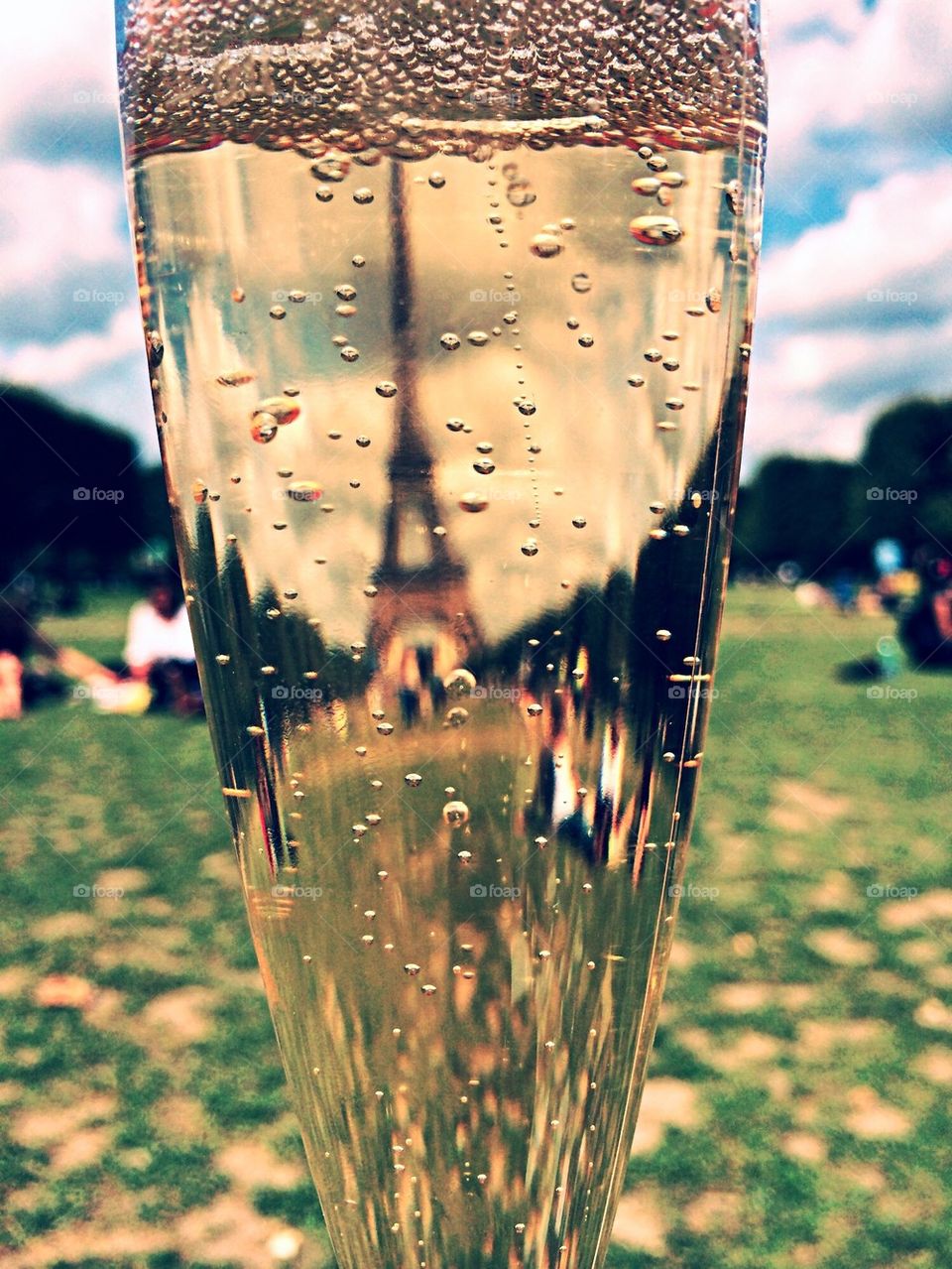 champagne