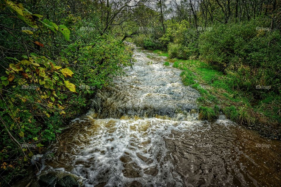 High angle view of streams in forest