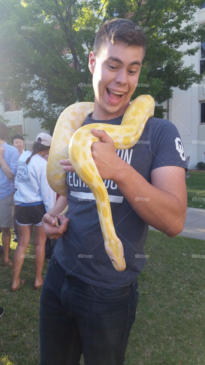Snake college animal yellow boy man Smile funny